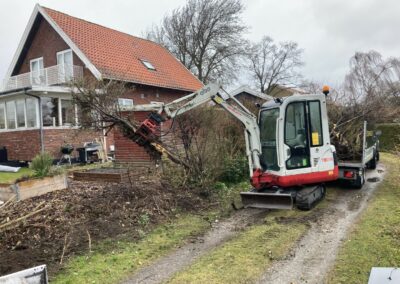 Bortskaffelse af hæk